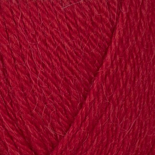 Alpaca storm
