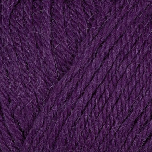 Alpaca storm
