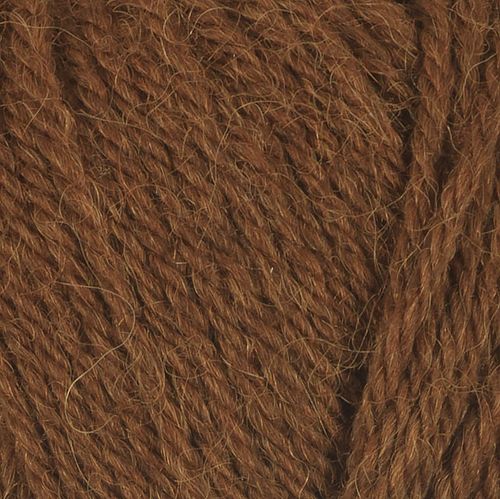 Alpaca storm